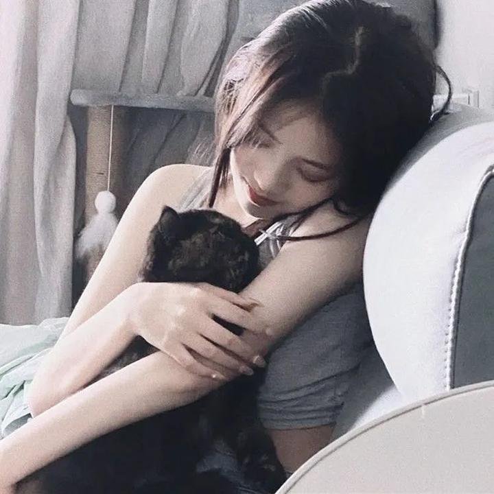 动画青春片单